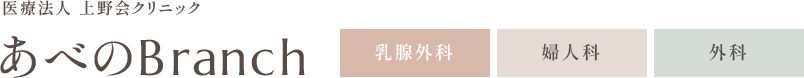 医療法人 上野会クリニック あべのBranch 乳腺外科・婦人科・外科